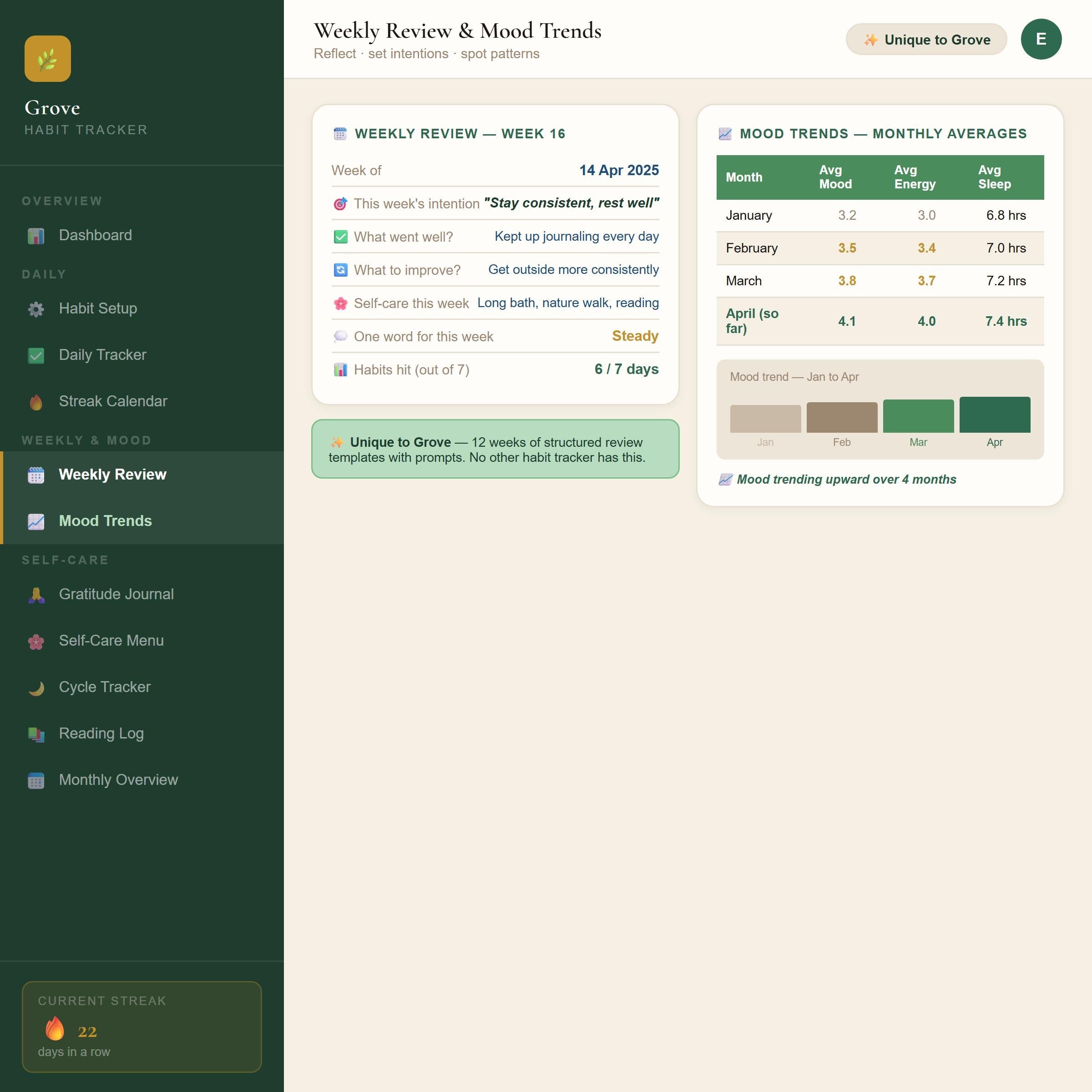 Habit Tracker Spreadsheet | Daily Mood, Gratitude, Cycle Planner (Google Sheets/Excel)